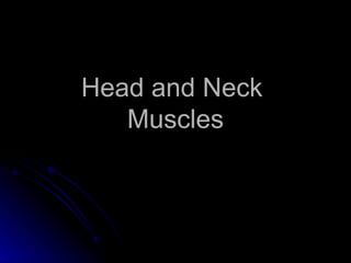 Head and Neck  Muscles 