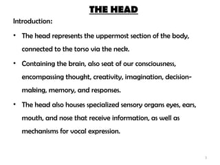 Head and Neck, Note Material for studying | PPTX