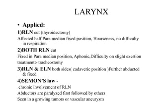 Head & neck-larynx.pdf