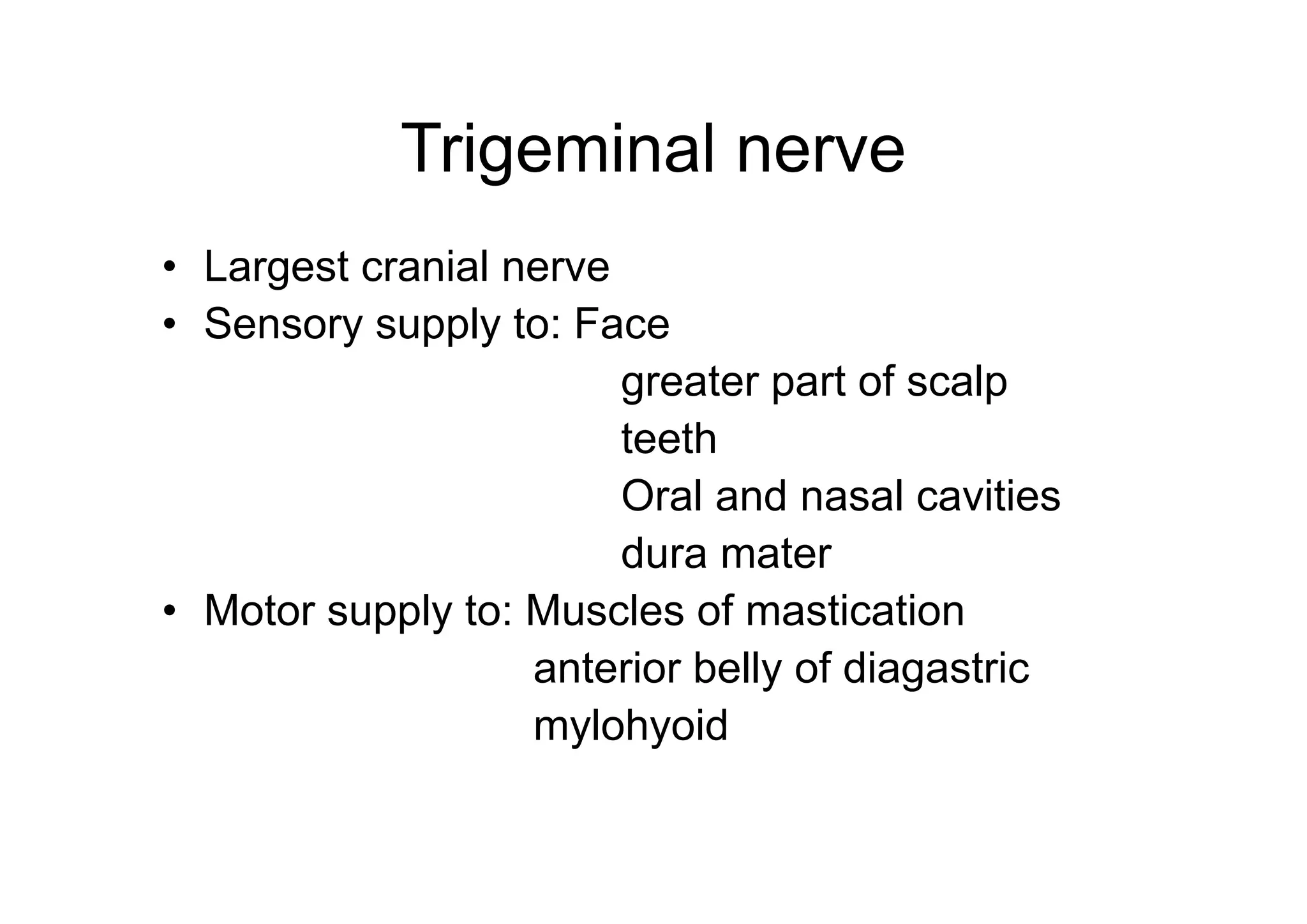 Head and Neck Trigeminal Nerve Anatomy.pdf