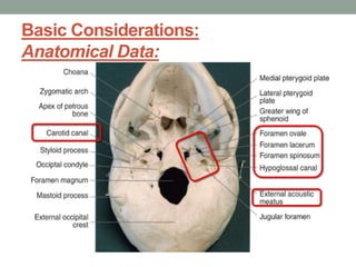 Basic Considerations:
Anatomical Data:
 