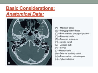 Basic Considerations:
Anatomical Data:
 