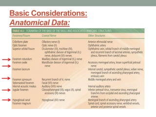 Basic Considerations:
Anatomical Data:
 