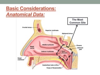 Basic Considerations:
Anatomical Data:
The Most
Common Site
 