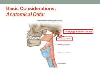 Basic Considerations:
Anatomical Data:
Pharyngo-Basilar Fascia
 