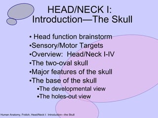 HEAD/NECK I:  Introduction—The Skull ,[object Object],[object Object],[object Object],[object Object],[object Object],[object Object],[object Object],[object Object]