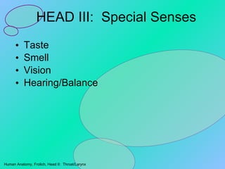 HEAD III:  Special Senses ,[object Object],[object Object],[object Object],[object Object]