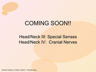 COMING SOON!! Head/Neck III: Special Senses Head/Neck IV:  Cranial Nerves 