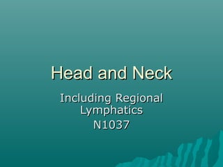 Head and Neck
Including Regional
    Lymphatics
      N1037
 