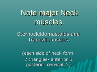 Note major Neck
    muscles.
Sternocleidomastoids and
     trapezii muscles

 (each side of neck form
  2 triangles- anterior &
   posterior cervical )
 