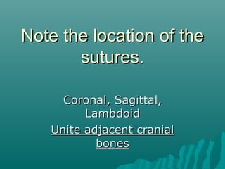 Note the location of the
       sutures.

     Coronal, Sagittal,
         Lambdoid
   Unite adjacent cranial
           bones
 