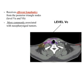 Level Vb Node Head n neck nodal delineation ppt | PPTX