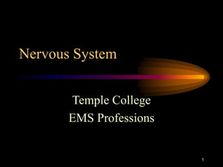 1
Nervous System
Temple College
EMS Professions
 