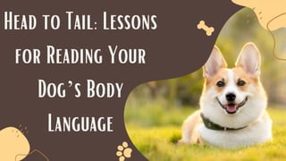 Head to Tail: Lessons
for Reading Your
Dog’s Body
Language
 