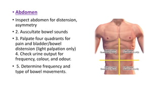 • Abdomen
• Inspect abdomen for distension,
asymmetry
• 2. Auscultate bowel sounds
• 3. Palpate four quadrants for
pain and bladder/bowel
distension (light palpation only)
4. Check urine output for
frequency, colour, and odour.
• 5. Determine frequency and
type of bowel movements.
 