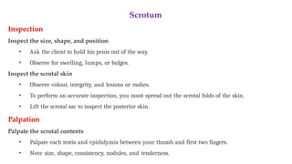Scrotum
Inspection
Inspect the size, shape, and position
• Ask the client to hold his penis out of the way.
• Observe for swelling, lumps, or bulges.
Inspect the scrotal skin
• Observe colour, integrity, and lesions or rashes.
• To perform an accurate inspection, you must spread out the scrotal folds of the skin.
• Lift the scrotal sac to inspect the posterior skin.
Palpation
Palpate the scrotal contents
• Palpate each testis and epididymis between your thumb and first two fingers.
• Note size, shape, consistency, nodules, and tenderness.
 