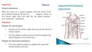 Heart
Inspection
Inspect pulsations
With the client in a supine position with the head of the
bed elevated between 30 and 45 degrees, stand on
the client’s right side and look for the apical impulse
and abnormal pulsations.
Palpation
Palpate the apical pulse
• Remain on the client’s right side and ask the client to
remain supine.
• Use the palmar surfaces of your hand to palpate the
apical impulse in the mitral area.
Palpate for abnormal pulsations
• Use your palmar surfaces to palpate the apex, left
sternal border, and base.
 