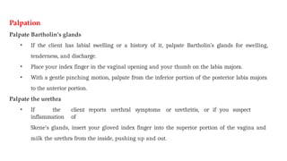 Palpation
Palpate Bartholin’s glands
• If the client has labial swelling or a history of it, palpate Bartholin’s glands for swelling,
tenderness, and discharge.
• Place your index finger in the vaginal opening and your thumb on the labia majora.
• With a gentle pinching motion, palpate from the inferior portion of the posterior labia majora
to the anterior portion.
Palpate the urethra
• If the client reports urethral symptoms or urethritis, or if you suspect
inflammation of
Skene’s glands, insert your gloved index finger into the superior portion of the vagina and
milk the urethra from the inside, pushing up and out.
 