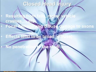 Closed Head Injury 
• Resulting from falls, motor vehicle 
crashes,… etc. 
• Focal damage and diffuse damage to axons 
• Effects tend to be broad (diffuse) 
• No penetration to the skull 
 