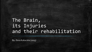 The Brain,
its Injuries
and their rehabilitation
By: Dora Kukucska (2015)
 