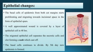 Comprehensive Overview of Wound Healing Processes and Factors | PPTX