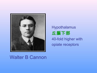 Hypothalamus
丘腦下部
40-fold higher with
opiate receptors
Walter B Cannon
 