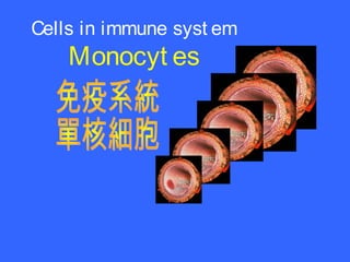 Cells in immune syst em
Monocyt es
 