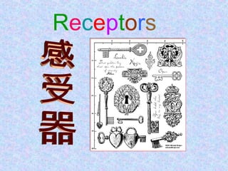 Receptors
 