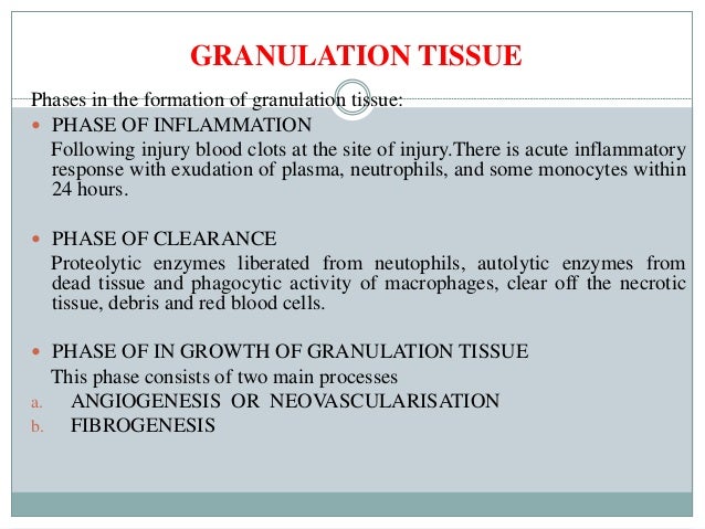 tooth extraction healing stages