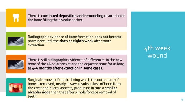 healing of extraction socket power point presentation | PPT
