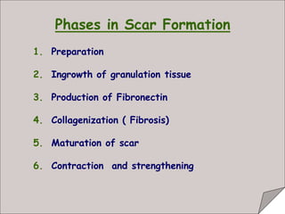 Healing and repair | PPT