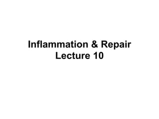 Inflammation & Repair
Lecture 10
 