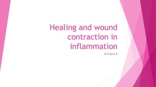 Healing and wound
contraction in
inflammation
Archana.K
 