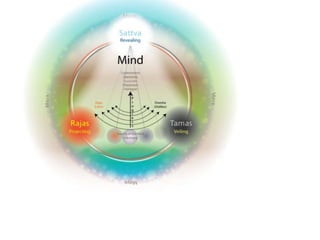 Healing ayurveda personalized way