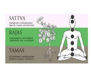 Healing ayurveda personalized way