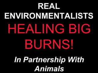 REALREAL
ENVIRONMENTALISTSENVIRONMENTALISTS
In Partnership WithIn Partnership With
AnimalsAnimals
HEALING BIGHEALING BIG
BURNS!BURNS!
 