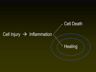 Cell Injury  Inflammation
Cell Death
Healing
 