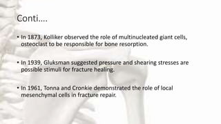 Conti….
• In 1873, Kolliker observed the role of multinucleated giant cells,
osteoclast to be responsible for bone resorption.
• In 1939, Gluksman suggested pressure and shearing stresses are
possible stimuli for fracture healing.
• In 1961, Tonna and Cronkie demonstrated the role of local
mesenchymal cells in fracture repair.
 