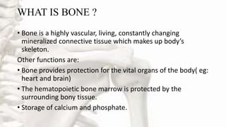 WHAT IS BONE ?
• Bone is a highly vascular, living, constantly changing
mineralized connective tissue which makes up body’s
skeleton.
Other functions are:
• Bone provides protection for the vital organs of the body( eg:
heart and brain)
• The hematopoietic bone marrow is protected by the
surrounding bony tissue.
• Storage of calcium and phosphate.
 
