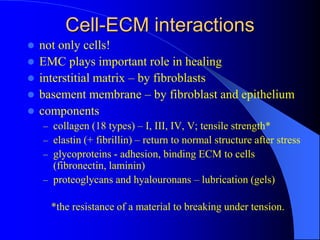 Cell-ECM interactions
 not only cells!
 EMC plays important role in healing
 interstitial matrix – by fibroblasts
 basement membrane – by fibroblast and epithelium
 components
– collagen (18 types) – I, III, IV, V; tensile strength*
– elastin (+ fibrillin) – return to normal structure after stress
– glycoproteins - adhesion, binding ECM to cells
(fibronectin, laminin)
– proteoglycans and hyalouronans – lubrication (gels)
*the resistance of a material to breaking under tension.
 