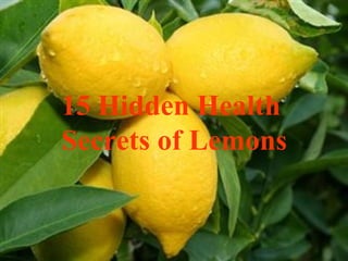 15 Hidden Health  Secrets of Lemons 