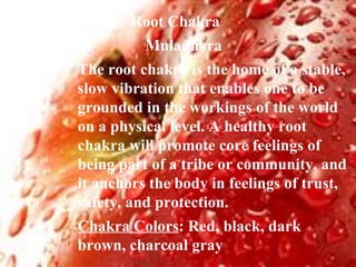 Root Chakra  Muladhara The root chakra is the home of a stable, slow vibration that enables one to be grounded in the workings of the world on a physical level. A healthy root chakra will promote core feelings of being part of a tribe or community, and it anchors the body in feelings of trust, safety, and protection. Chakra Colors : Red, black, dark brown, charcoal gray 