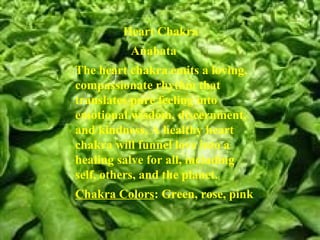 Heart Chakra  Anahata The heart chakra emits a loving, compassionate rhythm that translates pure feeling into emotional wisdom, discernment, and kindness. A healthy heart chakra will funnel love into a healing salve for all, including self, others, and the planet. Chakra Colors : Green, rose, pink 