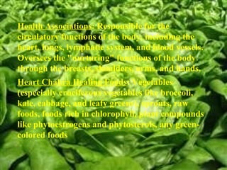 Health Associations : Responsible for the circulatory functions of the body, including the heart, lungs, lymphatic system, and blood vessels. Oversees the "nurturing" functions of the body through the breasts, shoulders, arms, and hands. Heart Chakra Healing Foods : Vegetables (especially cruciferous vegetables like broccoli, kale, cabbage, and leafy greens), sprouts, raw foods, foods rich in chlorophyll, plant compounds like phytoestrogens and phytosterols, any green-colored foods 