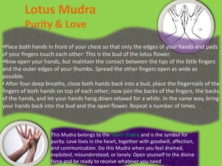 Lotus Mudra Purity & LovePlace both hands in front of your chest so that only the edges of your hands and pads of your fingers touch each other: This is the bud of the lotus flower. 