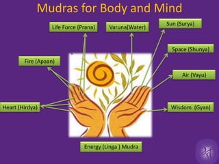  After four deep breaths, close both hands back into a bud, place the fingernails of the fingers of both hands on top of each other; now join the backs of the fingers, the backs of the hands, and let your hands hang down relaxed for a while. In the same way, bring your hands back into the bud and the open flower. Repeat a number of times.This Mudra belongs to the heart chakra and is the symbol for purity. Love lives in the heart, together with goodwill, affection, and communication. Do this Mudra when you feel drained, exploited, misunderstood, or lonely. Open yourself to the divine force and be ready to receive whatever you need 