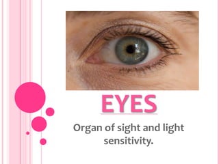 EYES
Organ of sight and light
      sensitivity.
 