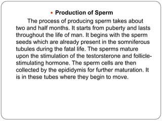  Production of Sperm
The process of producing sperm takes about
two and half months. It starts from puberty and lasts
throughout the life of man. It begins with the sperm
seeds which are already present in the somniferous
tubules during the fatal life. The sperms mature
upon the stimulation of the testorsterone and follicle-
stimulating hormone. The sperm cells are then
collected by the epididymis for further maturation. It
is in these tubes where they begin to move.
 