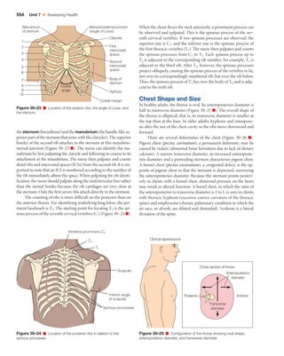 Palpating Ribs Health-Assessment.pdf gyftdtsarsyrfkhijo | PDF