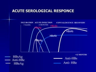ACUTE SEROLOGICAL RESPONCE HBsAg Anti-HBc HBeAg Anti-HBs Anti- HBe INCUBATION 3 months ACUTE INFECTION 6 MONTHS CONVALESCE...